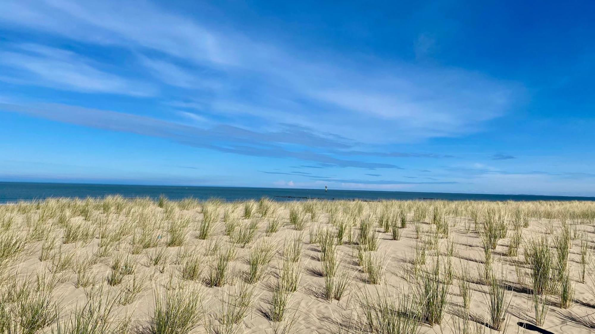 Royal Knokke Apartment Ngoại thất bức ảnh